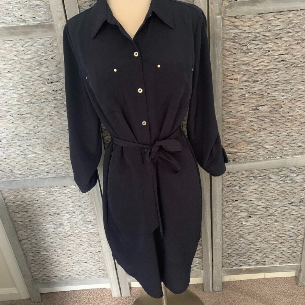 The Limited Blue Button Down Dress